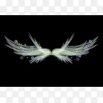 银色的翅膀1024x740-空若网 银色的翅膀1024x740-空若网