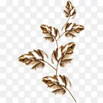 ��ɫ֦Ҷ-������