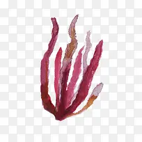 ��ɫ����ֲ��-������