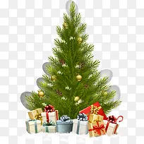 ʥ������ɫʥ����-������