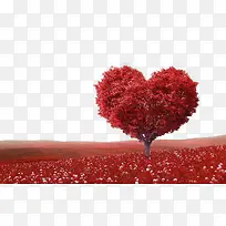 ��������ɫ��������Լ-������