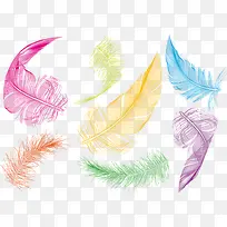 彩色的羽毛-空若网 彩色的羽毛-空若网