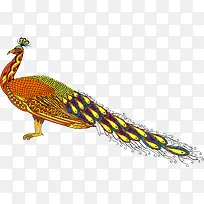 彩色孔雀模型-空若网 彩色孔雀模型-空若网