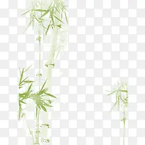 手绘水彩画斑竹素材-空若网 手绘水彩画斑竹素材-空若网