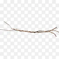 漂亮棕色枯枝-空若网 漂亮棕色枯枝-空若网