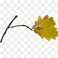 ¿ÝÖ¦¿ÝÒ¶-¿ÕÈôÍø ¿ÝÖ¦¿ÝÒ¶-¿ÕÈôÍø