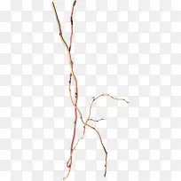 棕色漂亮枯枝-空若网 棕色漂亮枯枝-空若网