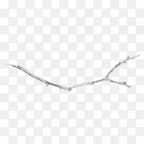 漂亮树枝枯枝-空若网 漂亮树枝枯枝-空若网