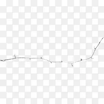 细枝装饰素材-空若网 细枝装饰素材-空若网