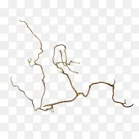 棕色枯枝-空若网 棕色枯枝-空若网