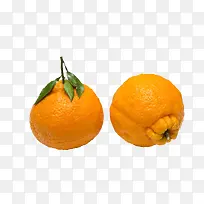 ʵ������ˮ������-������