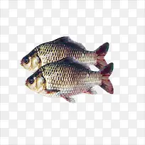 ������-������