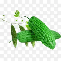 实物绿色新鲜苦瓜-空若网 实物绿色新鲜苦瓜-空若网