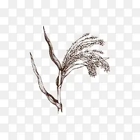 卡通手绘卡通稻子-空若网 卡通手绘卡通稻子-空若网