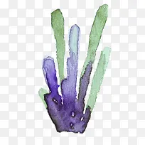 ��ɫˮ�ʲ�ֲ�ﺣ��-������