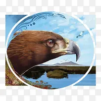 ʸÁ¿Ó¥Í·-¿ÕÈôÍø ʸÁ¿Ó¥Í·-¿ÕÈôÍø