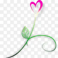 粉色爱心植物-空若网 粉色爱心植物-空若网