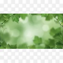 绿色春天到来-空若网 绿色春天到来-空若网