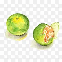 水彩橘子-空若网 水彩橘子-空若网