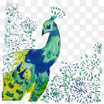 手绘卡通青色孔雀-空若网 手绘卡通青色孔雀-空若网