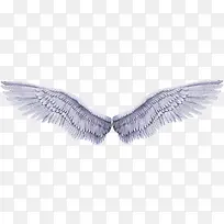 翅膀 飞翅 飞翔-空若网 翅膀 飞翅 飞翔-空若网