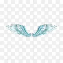 天使与恶魔幻化翅膀-空若网 天使与恶魔幻化翅膀-空若网