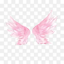 粉色翅膀-空若网 粉色翅膀-空若网
