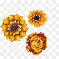 �ֻ��ɫ��-������