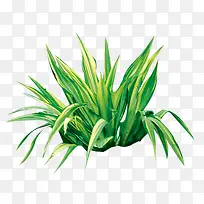 Ò°ÂùС²Ý-¿ÕÈôÍø Ò°ÂùС²Ý-¿ÕÈôÍø