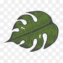 手绘热带树叶矢量素材-空若网 手绘热带树叶矢量素材-空若网