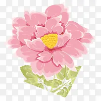 水彩牡丹花粉色花朵-空若网 水彩牡丹花粉色花朵-空若网