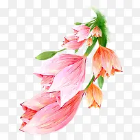 �廭 �� ����  �廭����-������