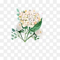 彩绘水彩-空若网 彩绘水彩-空若网