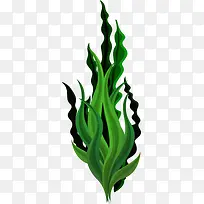 世界海洋日舞动的海草-空若网 世界海洋日舞动的海草-空若网