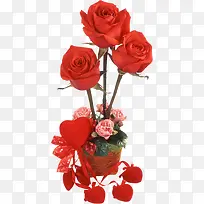 ��ɫõ��-������