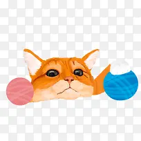 ��ͨ�ɰ�С����װ�ζ���ͷ��-������