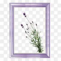 薰衣草相框-空若网 薰衣草相框-空若网