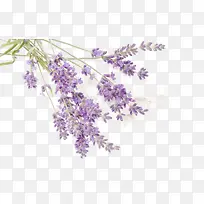 Ѭ�²��ز�-������