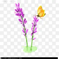 Ѭ�²�-������