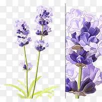 ˮīѬ�²�-������