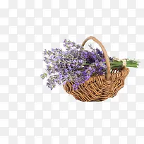 Ò»Àº×ÓѬÒ²Ý-¿ÕÈôÍø Ò»Àº×ÓѬÒ²Ý-¿ÕÈôÍø