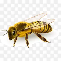 ʸ���۷��ز�-������