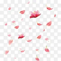 爱在情人节卡通花瓣装饰下载-空若网 爱在情人节卡通花瓣装饰下载-空若网