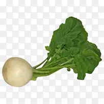 代康春青萝卜蔬菜-萝卜-空若网 代康春青萝卜蔬菜-萝卜-空若网