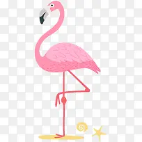 ��ͨ�ɰ�С����װ�ζ���ͷ��-������