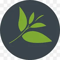 Բ�εĻ����ǩ���-������