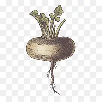 卡通手绘蔬菜装饰海报设计萝卜-空若网 卡通手绘蔬菜装饰海报设计萝卜-空若网