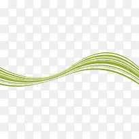 绿色线条-空若网 绿色线条-空若网