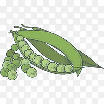 秋季手绘蔬菜青豆-空若网 秋季手绘蔬菜青豆-空若网