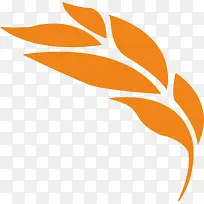 橙色小麦农作物-空若网 橙色小麦农作物-空若网